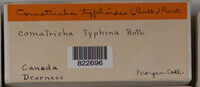 Image Associated With the Occurence